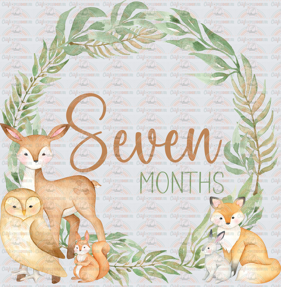 002_Family_Infant_Milestones_Woodland Cute Milestones_Deer_Fox_Squiirrel_7 Months
