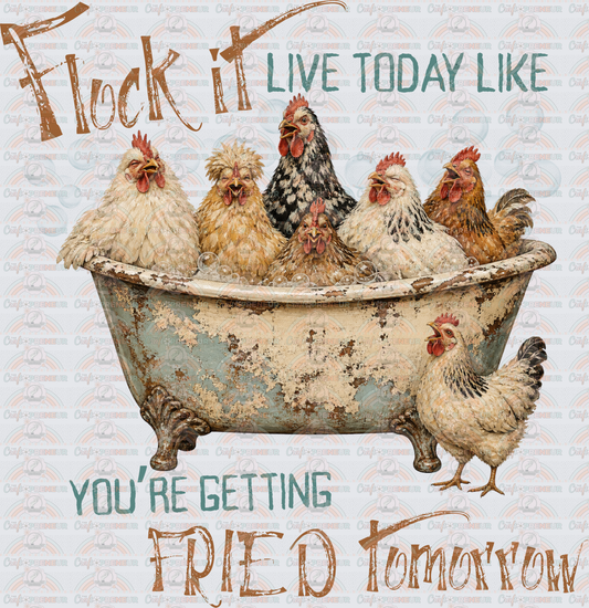 Animals_Farm Animals_Chickens_Sarcasm_Flock it Todeay Like Youre Getting Fried Tomorrow_Fried Chicken