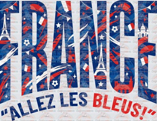 002_Sports_Soccer_FIFA_World Cup_Soccer Teams_Countries_Set_France