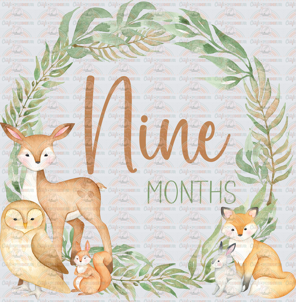 002_Family_Infant_Milestones_Woodland Cute Milestones_Deer_Fox_Squiirrel_9 Months