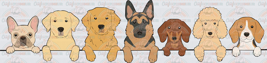 001_Dogs_Window Set_Breeds_French Bulldog_Labrador_Golden_German Shepherd_Dachshund_Doodle_Beagle_Front