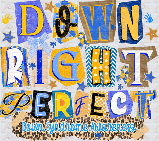 002_Causes_Down Syndrome_Awareness_Blue and Yellow_March Causes_Chromosomes_Down Right Perfect_Burn Book