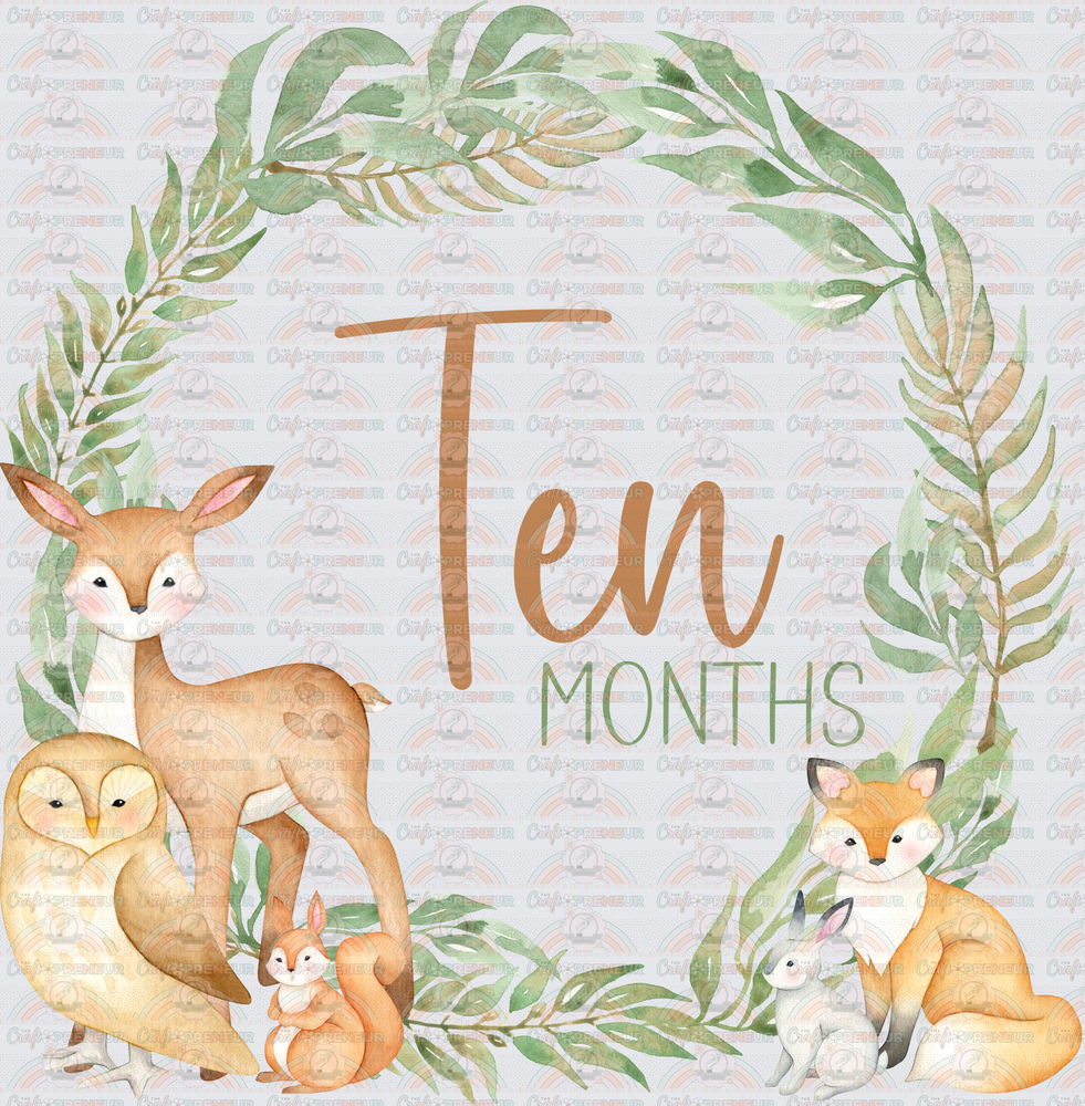 002_Family_Infant_Milestones_Woodland Cute Milestones_Deer_Fox_Squiirrel_10 Months