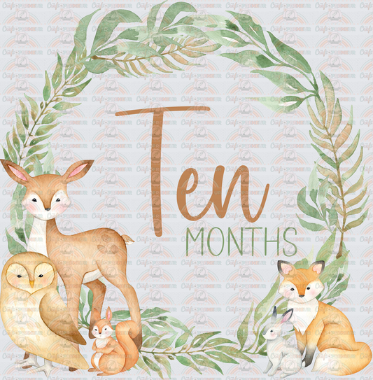 002_Family_Infant_Milestones_Woodland Cute Milestones_Deer_Fox_Squiirrel_10 Months