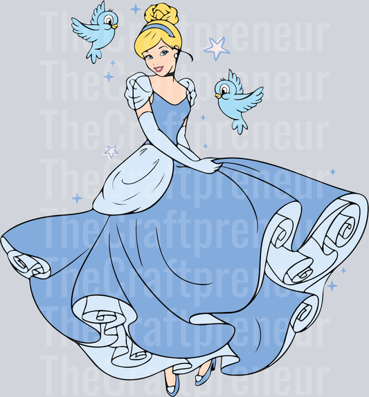 Disney_Princess_Cinderella Set_Front