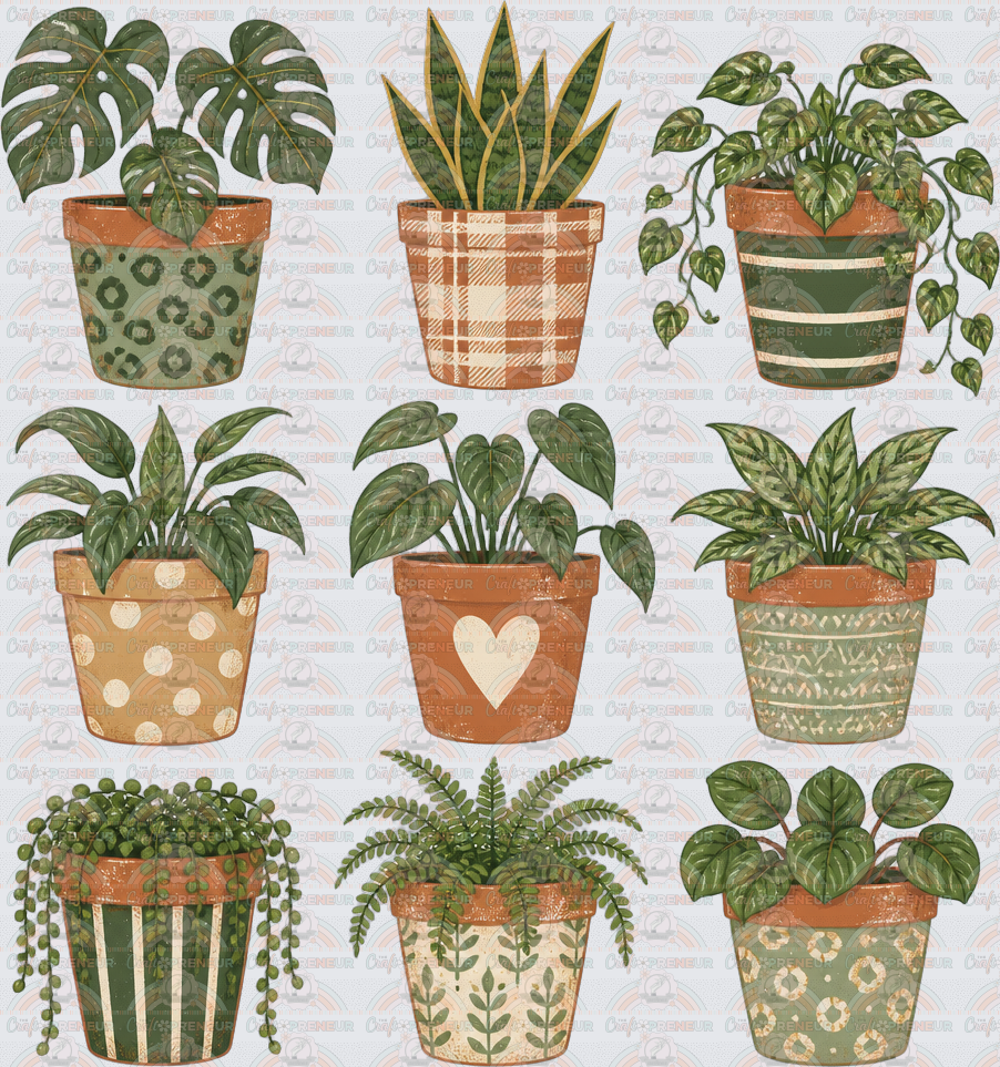 Plants_Grid_House Plants_Succulants_Mosntera_Potted Plants_Minimalist