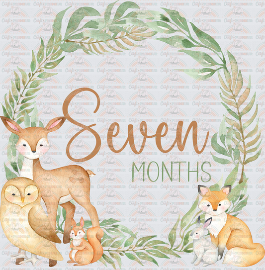 002_Family_Infant_Milestones_Woodland Cute Milestones_Deer_Fox_Squiirrel_7 Months