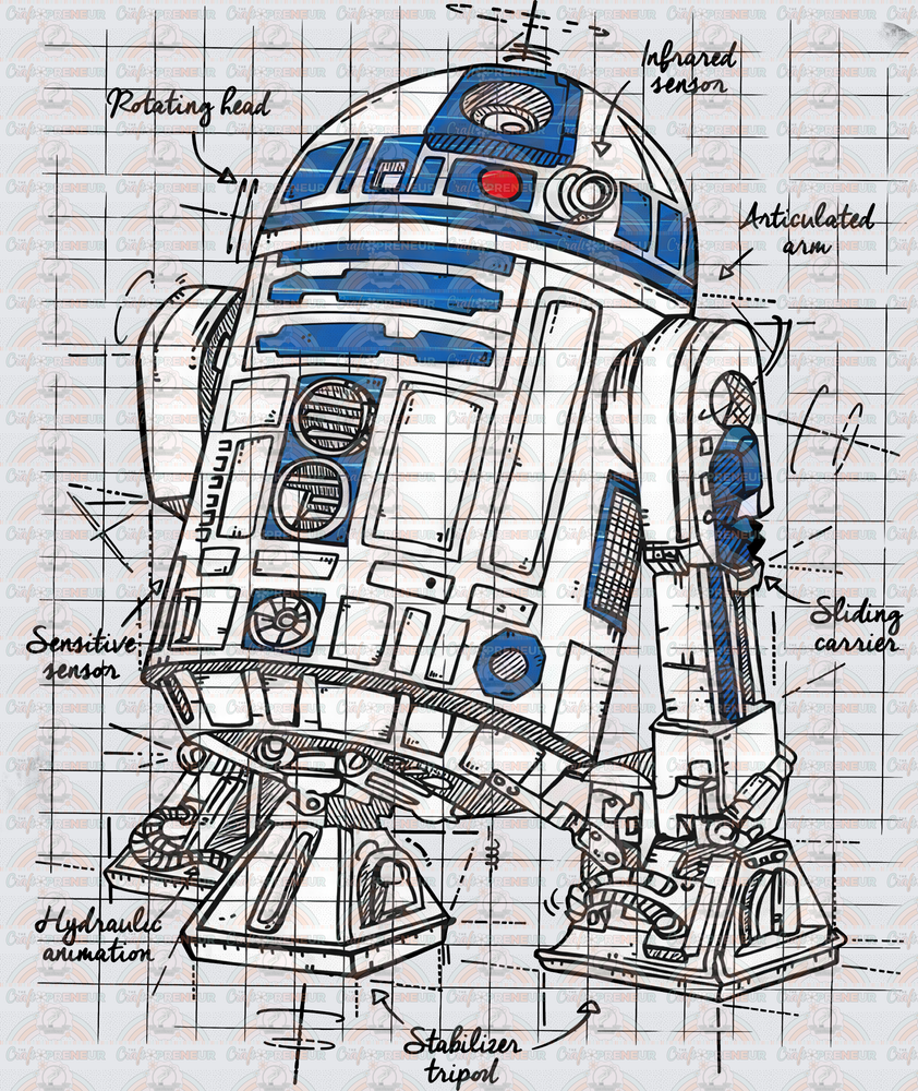Disney_Star Wars_R2D0_Boardee_Romat