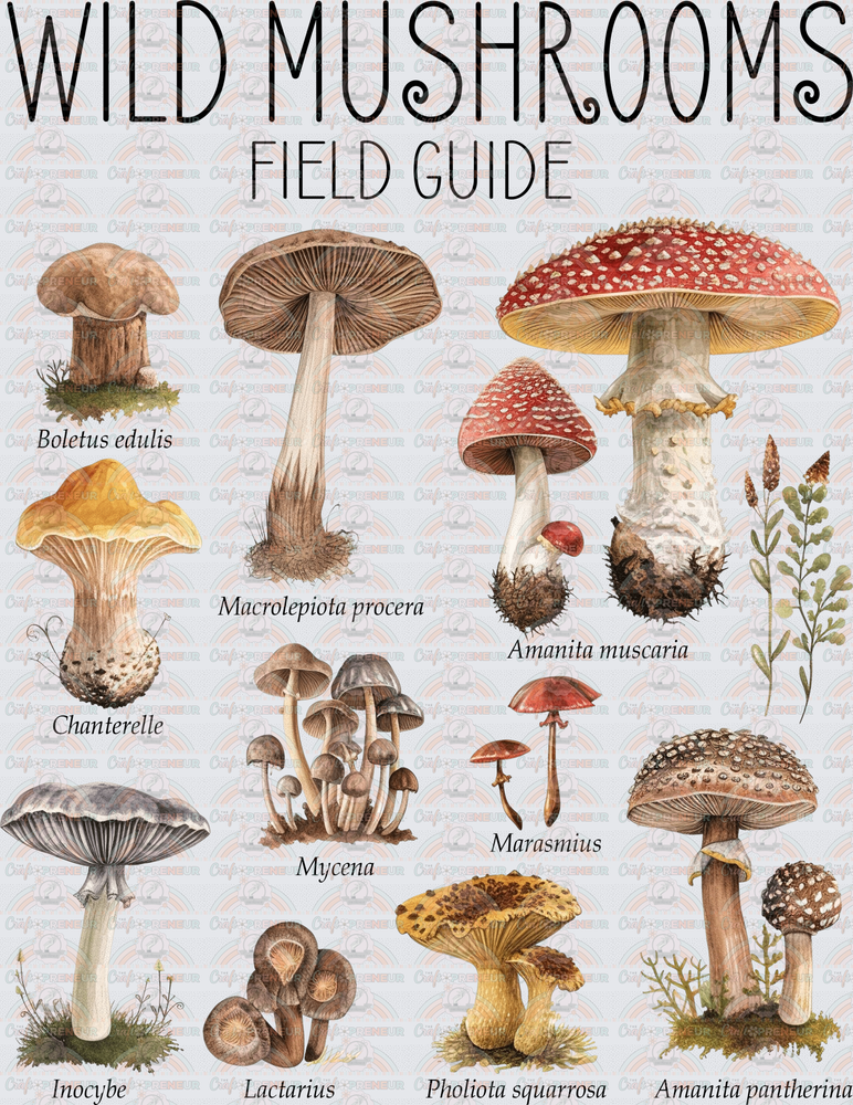 Plants_Fall_Mushrooms_Wild Mushrooms_Field Guide_Science_Identify_Grid