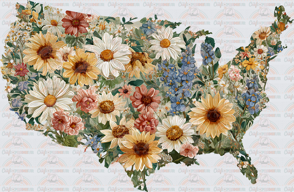 Summer_USA_Flowers_Sunflowers_Daisy_Outline_United States_Country