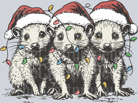 Possums in Lights DTF Transfer