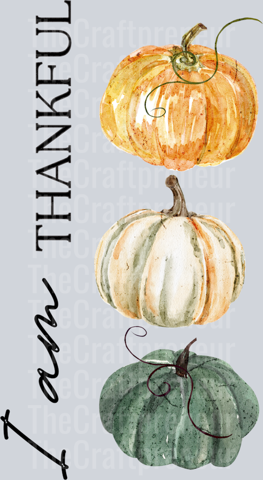 (Set!) Thankful For... Pumpkins Faith DTF Transfer (Black, Sleeve)