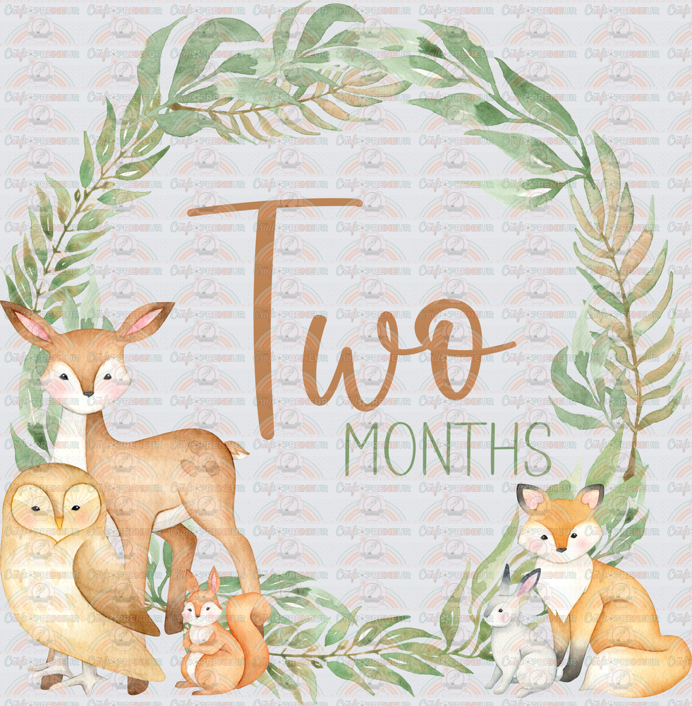 002_Family_Infant_Milestones_Woodland Cute Milestones_Deer_Fox_Squiirrel_2 Months