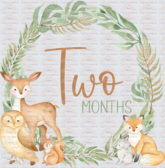 002_Family_Infant_Milestones_Woodland Cute Milestones_Deer_Fox_Squiirrel_2 Months