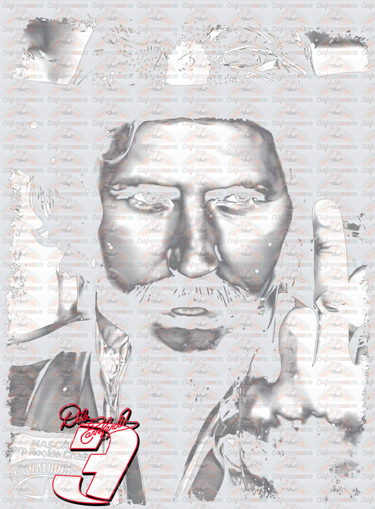 Racing_Nascar_Dale Earnhardt Sr_Middle Finger_Distressed_Half Tone