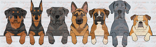 001_Dogs_Window Set_Rottweiler_Doberman_Pit Bull_German Shepherd_Boxer_Great Dane_English Bulldog_Front