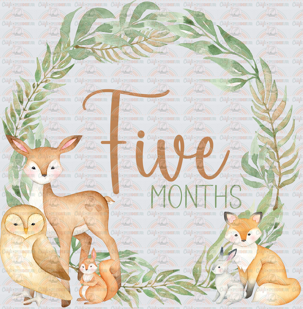 002_Family_Infant_Milestones_Woodland Cute Milestones_Deer_Fox_Squiirrel_5 Months