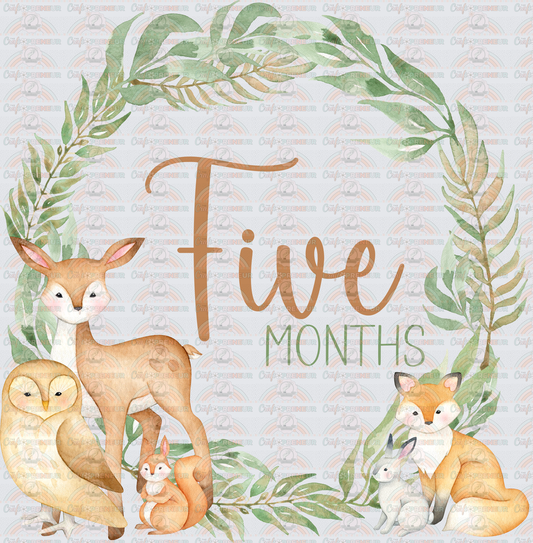 002_Family_Infant_Milestones_Woodland Cute Milestones_Deer_Fox_Squiirrel_5 Months