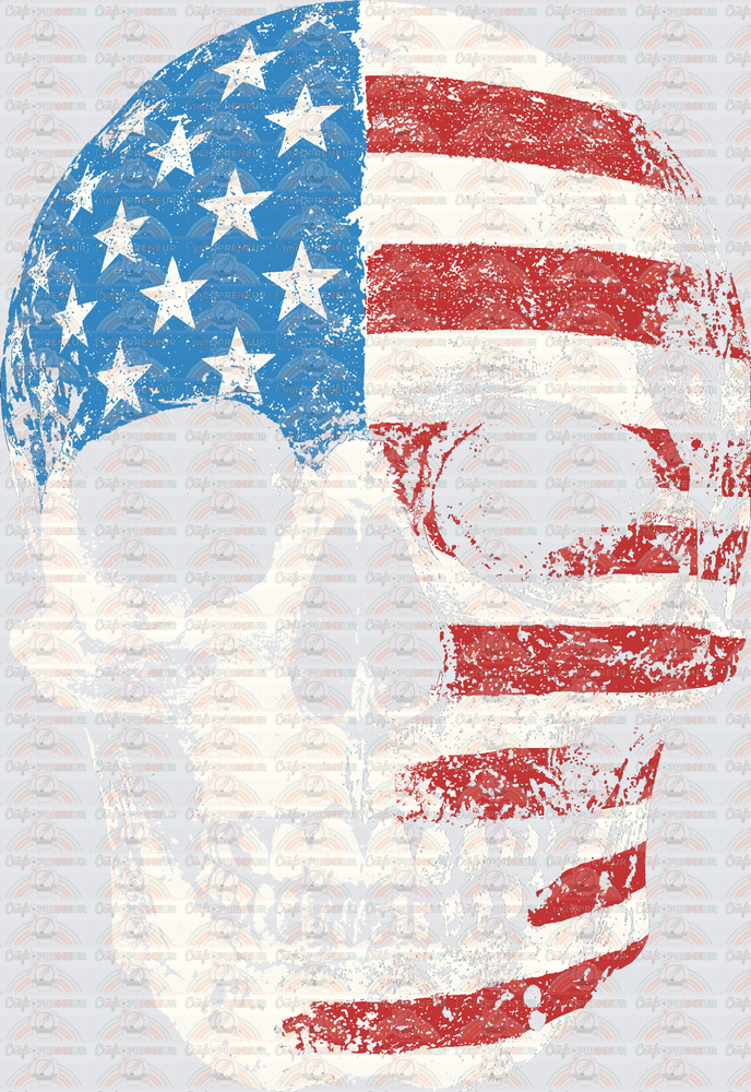 USA_4th of July_Skull_Distressed_Flag