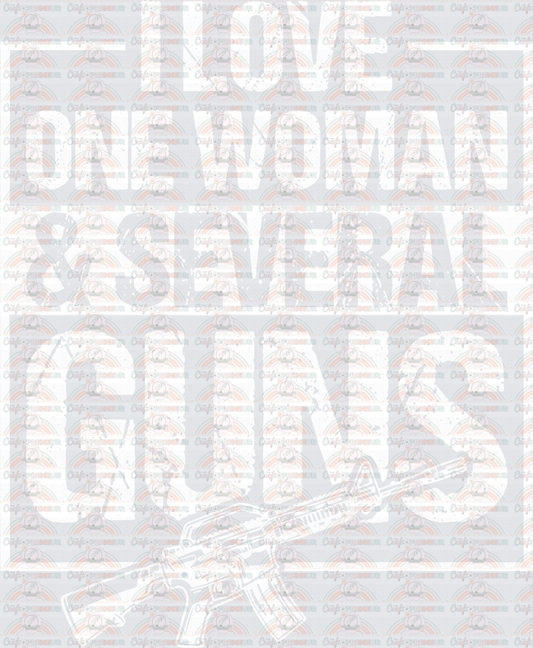 USA_2A_Second Ammendment_Guns_I Love One Woman and Several Guns_White