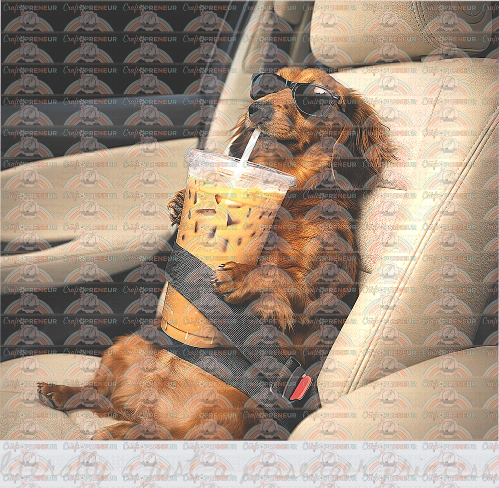 Dogs_Dachshund_Wifey_Just a Passenger Princess_Solid_Long Haired Dachshund