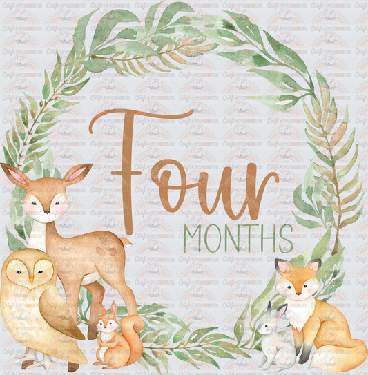 002_Family_Infant_Milestones_Woodland Cute Milestones_Deer_Fox_Squiirrel_4 Months