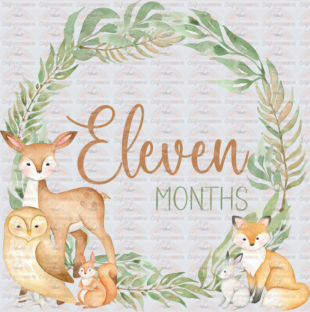 002_Family_Infant_Milestones_Woodland Cute Milestones_Deer_Fox_Squiirrel_11 Monthhs