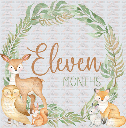 002_Family_Infant_Milestones_Woodland Cute Milestones_Deer_Fox_Squiirrel_11 Monthhs