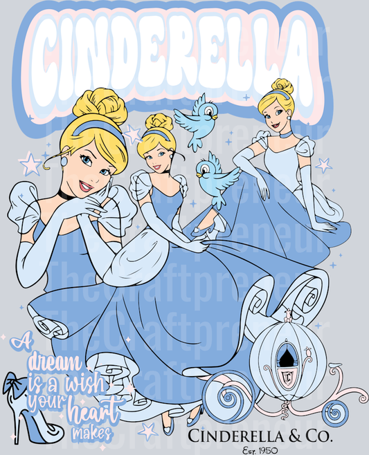 Disney_Princess_Cinderella Set_Back