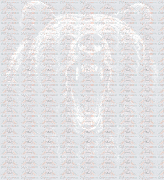 Animals_Bear_Rawr_Brown Bear_Kodiak_Outdoors_Hiking_Camping_Grizzly_Bear_Forest_White_Ink
