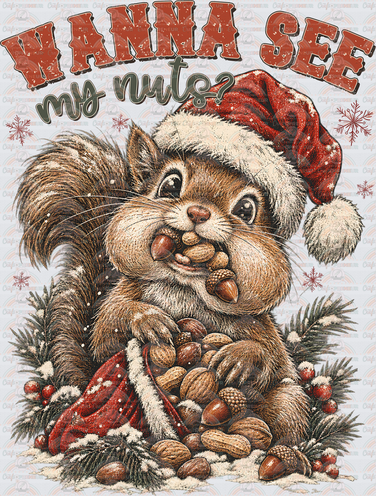 XMAS_Sarcasm_Squirrel_Nuts_Wanna See My Nuts