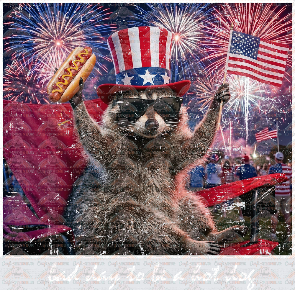 USA_4th of July_Raccoon_Hot Dog_Flag_Sarcasm