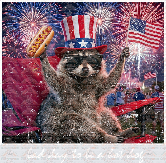 USA_4th of July_Raccoon_Hot Dog_Flag_Sarcasm