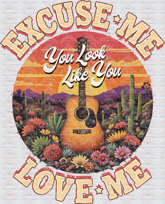 Music_Country Music_Ella Langley_Ryan Green_Excuse Me You Look Like You Love Me_Lyrics_Distressed_Guitar_Desert_Wildflowers