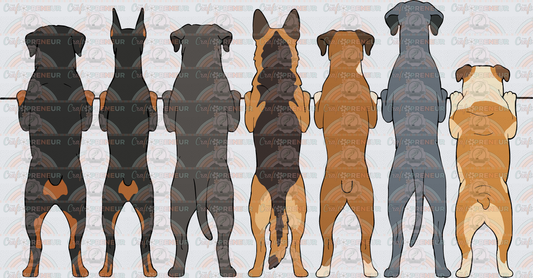 001_Dogs_Window Set_Rottweiler_Doberman_Pit Bull_German Shepherd_Boxer_Great Dane_English Bulldog_Back