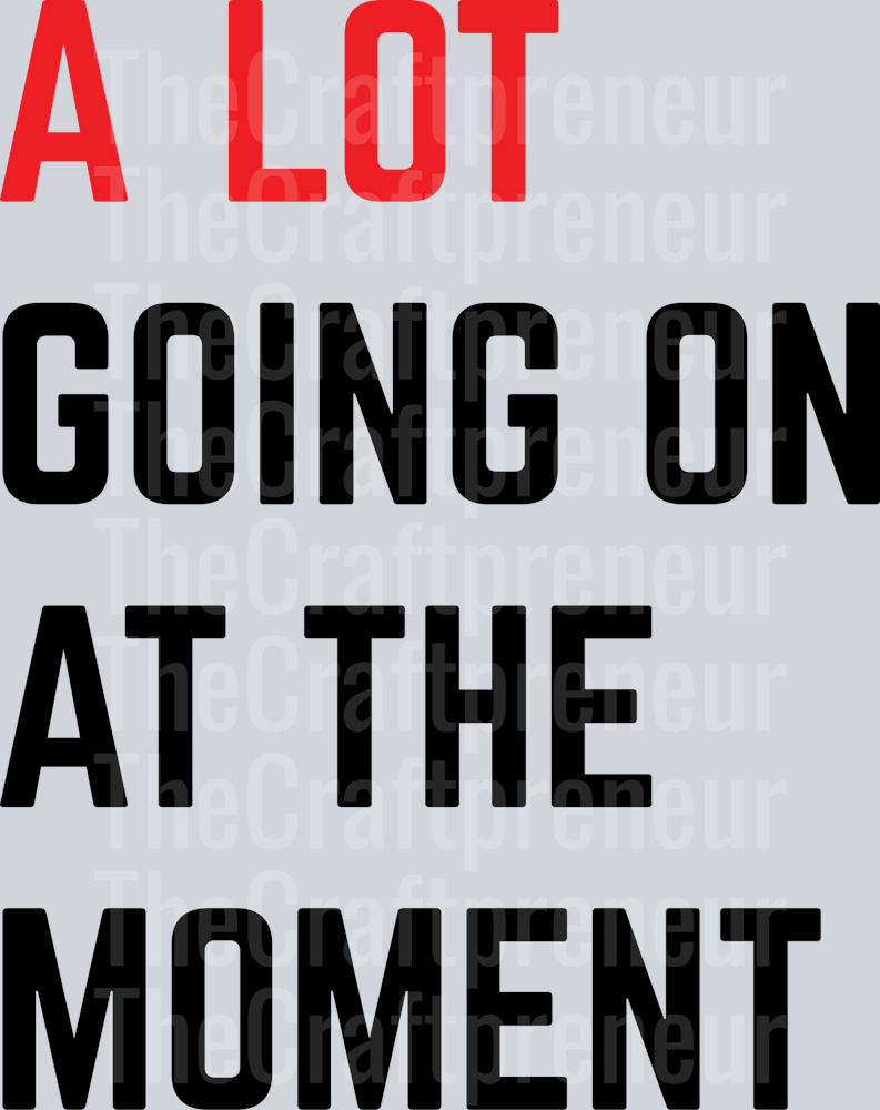 TS A Lot Going On at the Moment DTF Transfer