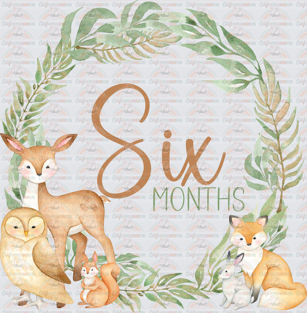 002_Family_Infant_Milestones_Woodland Cute Milestones_Deer_Fox_Squiirrel_6 Months
