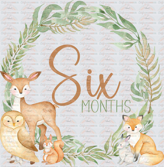002_Family_Infant_Milestones_Woodland Cute Milestones_Deer_Fox_Squiirrel_6 Months