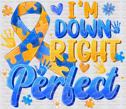 002_Causes_Down Syndrome_Awareness_Blue and Yellow_March Causes_Chromosomes_Im Down Right Perfect