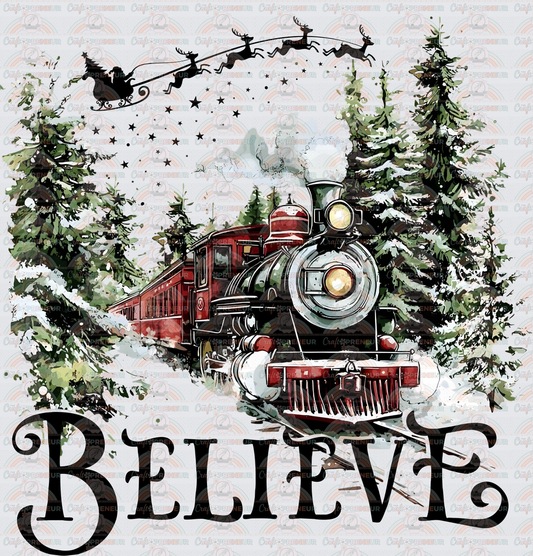 001_XMAS_The Polar Express_Christmas Movies_Trains_Set_Believe_Front_Front_Black