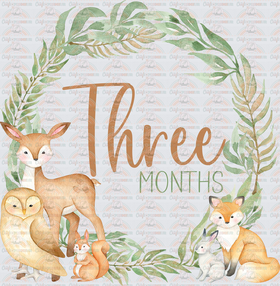 002_Family_Infant_Milestones_Woodland Cute Milestones_Deer_Fox_Squiirrel_3 Monrhs