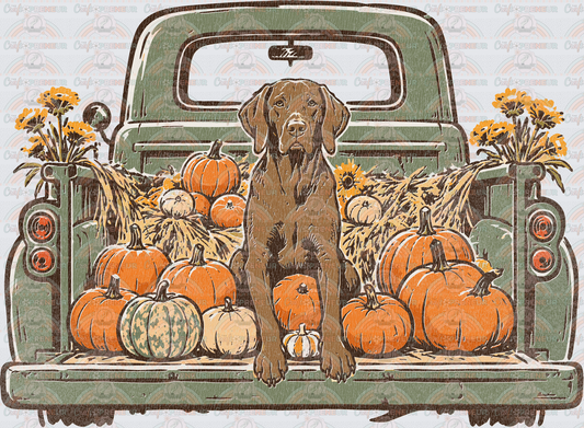Seasonal_Fall_Dogs_Pumpkins_Vintage Truck_Chocolate Lab_Labrador Retriever_Distressed
