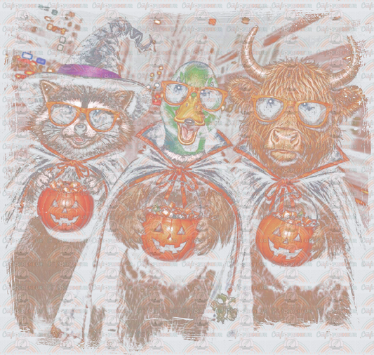 Halloween_Raccoon_Goose_Highloand Cow_Trick or Treat_City_Candy_Halftone_Color